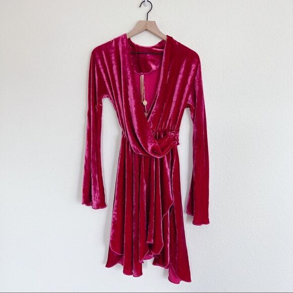 Maria Lucia Hohan Nola silk blend Dress Fuchsia Pink Velvet Size 34 - Picture 6 of 12